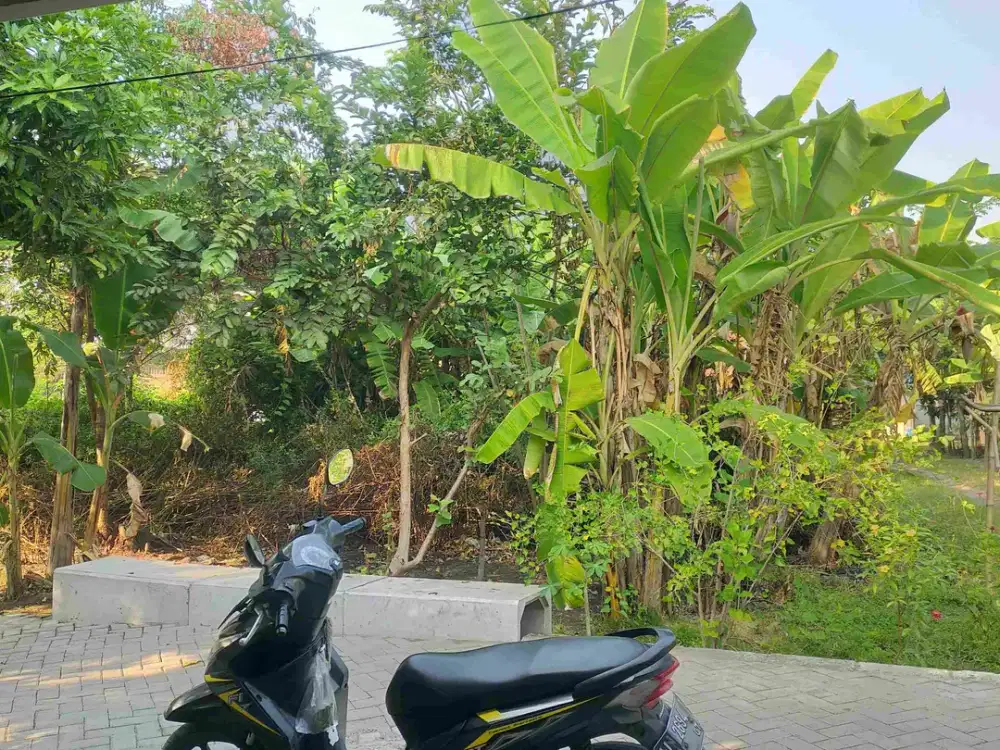 Tanah Pekarangan Krembung