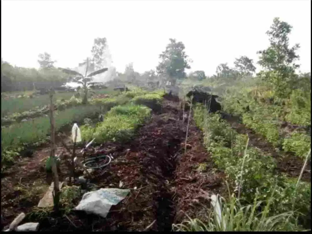 Jual Murah Tanah perkebunan di Landasan Ulin Luas 4.080m2 ,dkt Bandara