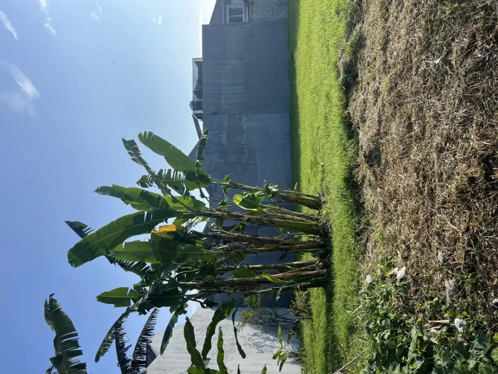 dijual kavling murah royal residence under market