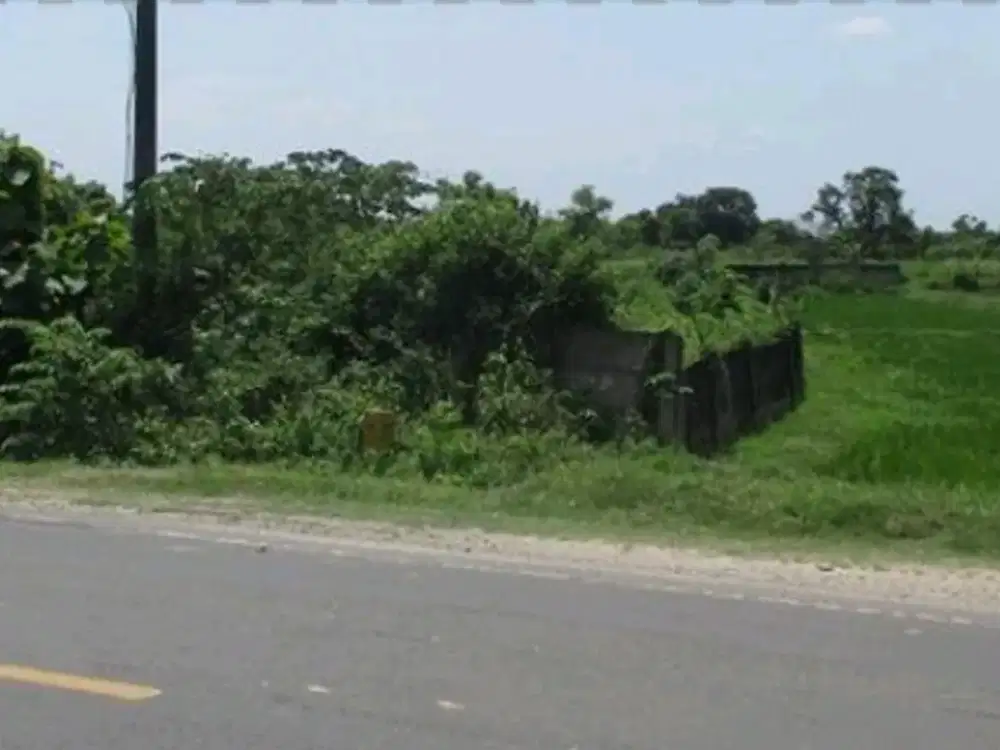 Raya Panceng Desa Wotan