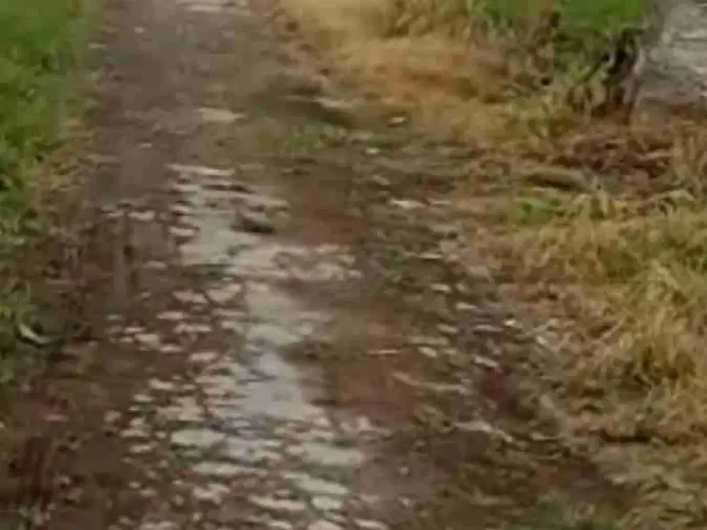 Jual tanah kota Karanganyar  Deket RSPKU papahan