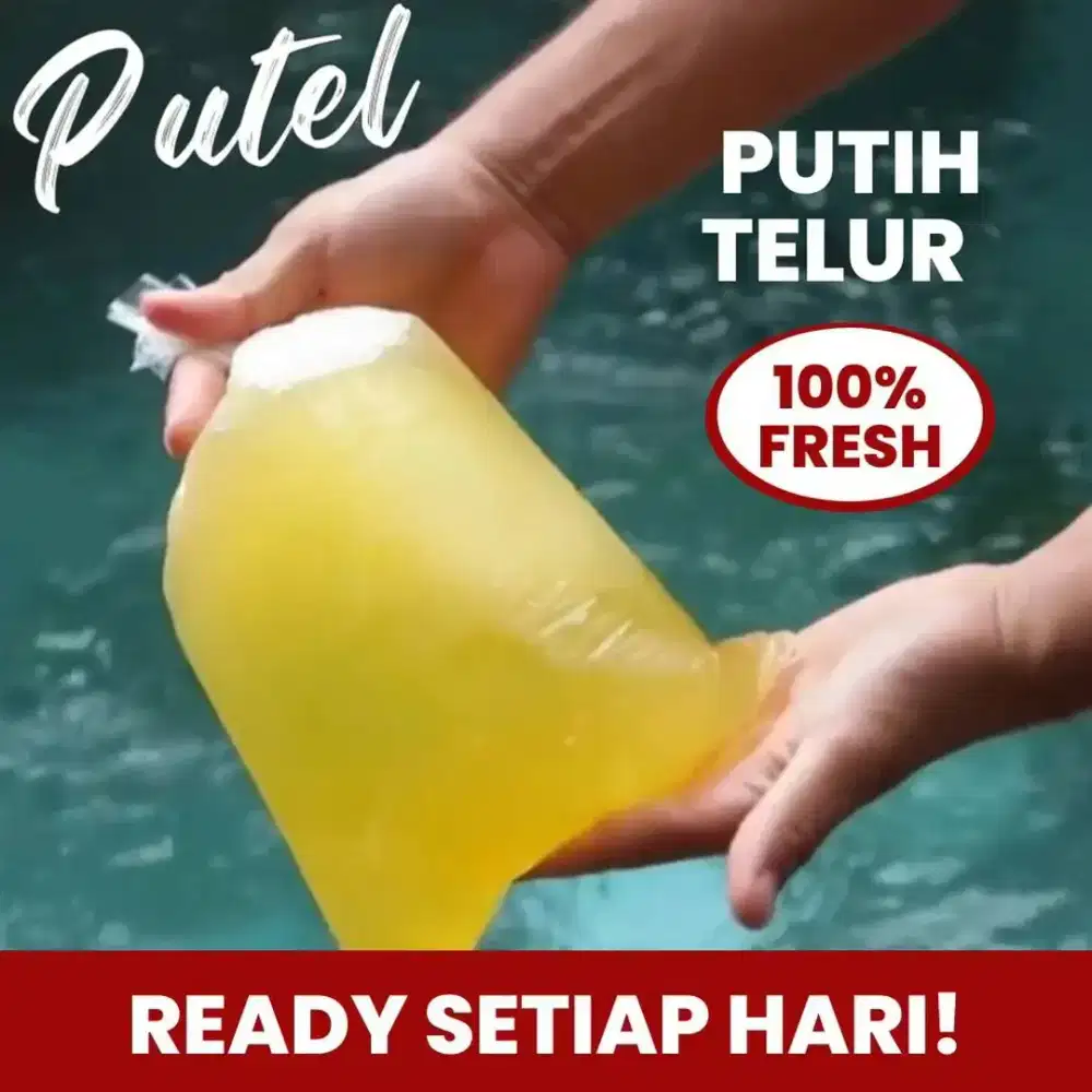 Putih telur murni dan fresh