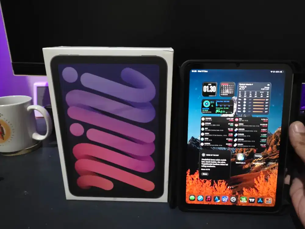 iPad Mini 7 256 GB 2024 warna Purple