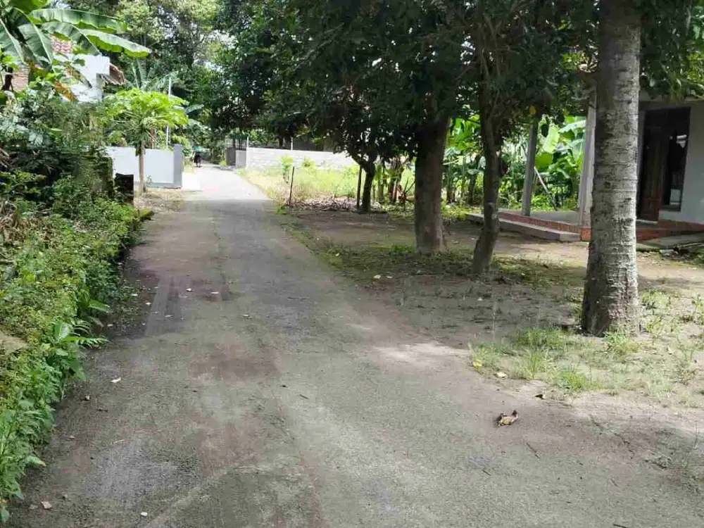 Jual Murah Tanah di Potorono Banguntapan Bantul Yogyakarta