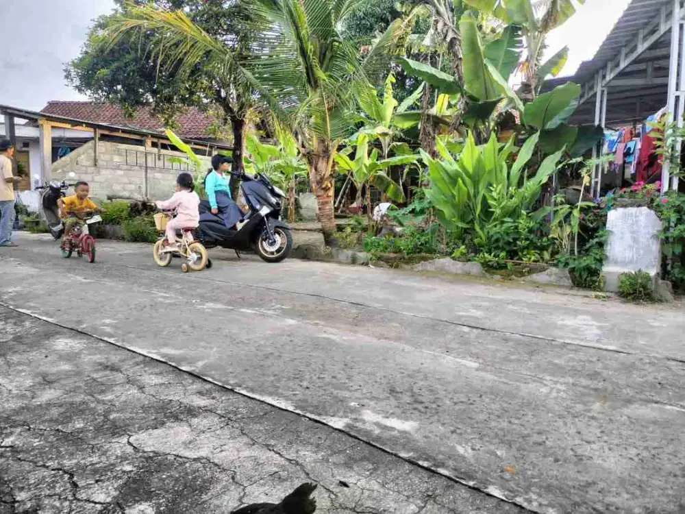 Jual Tanah View Sawah di Timur kampus ISI Bantul Yogyakarta