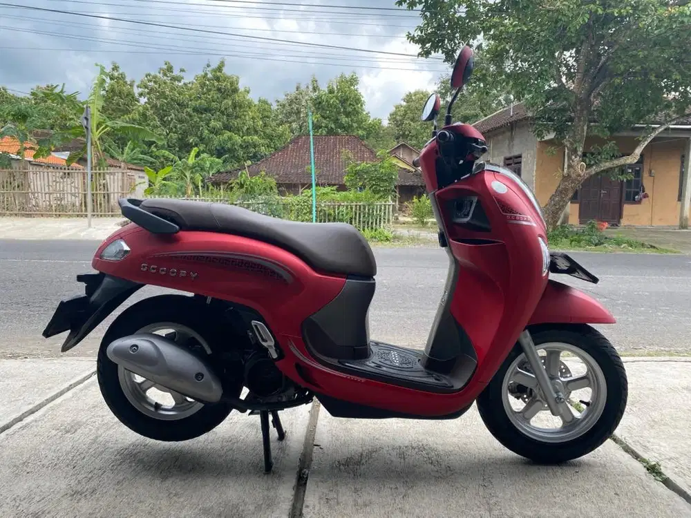 Scoopy new model