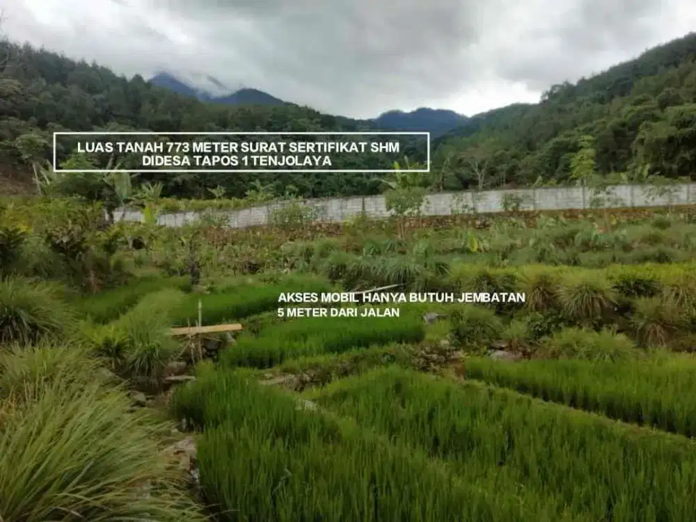 TANAH MURAH STRATEGIS DI DESA TAPOS TENJOLAYA COCOK UNTUK BERKEBUN