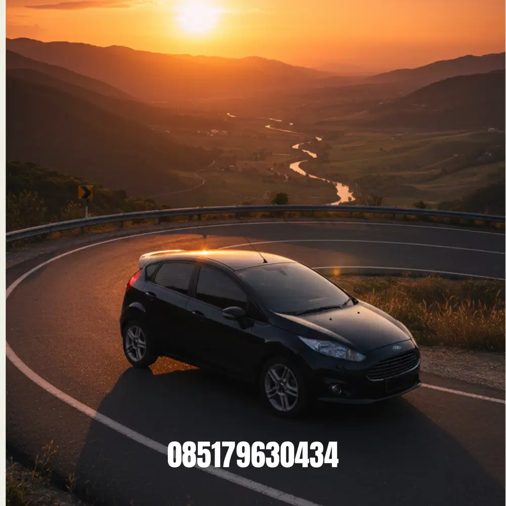 Ford Fiesta 2011 Bensin