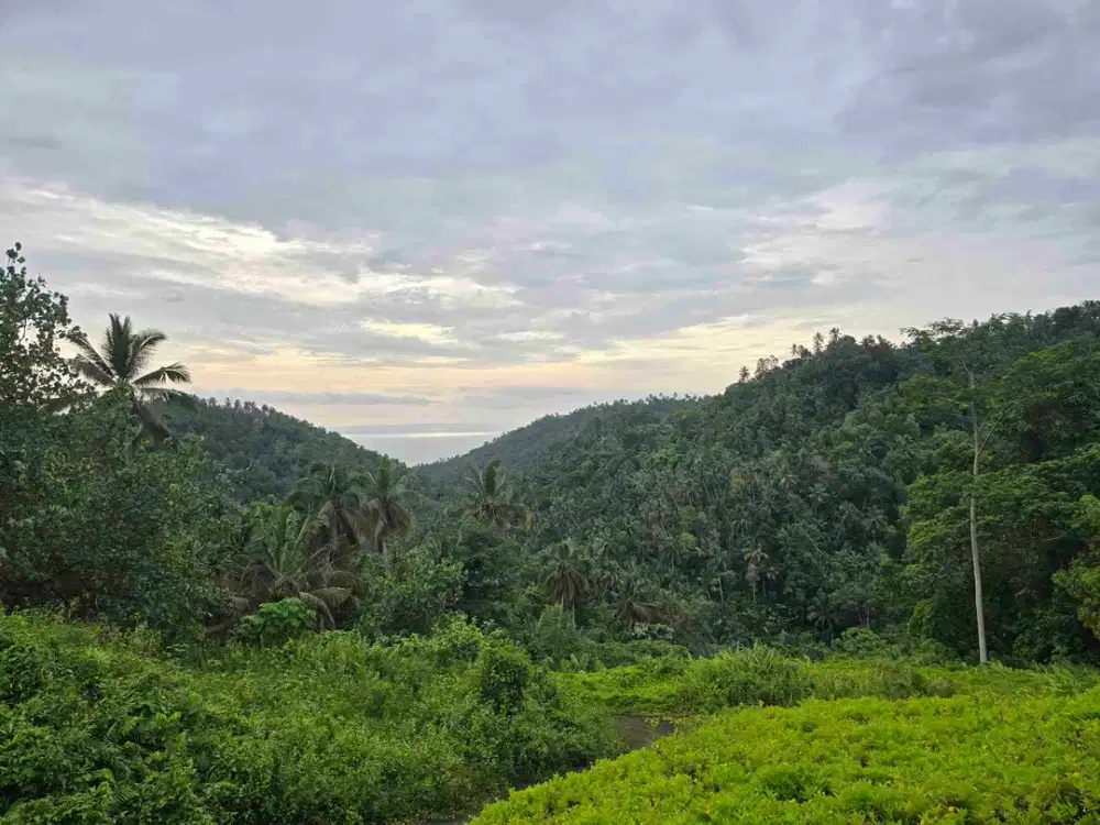 Dijual tanah murah dekat pantai balian beac view bukit di bali