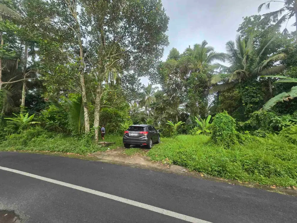 Dijual tanah kebun durian murah dekat villa puri dajuma di tabanan bali
