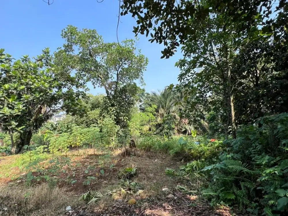 Dijual di bawah NJOP - Tanah Darat siap bangun cocok utk Mini Cluster, Kost2an, Kontrakan di Tanah Sareal - Bogor