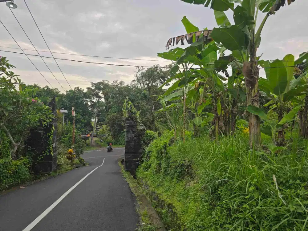 Dijual tanah kecil dekat pantai balian beac