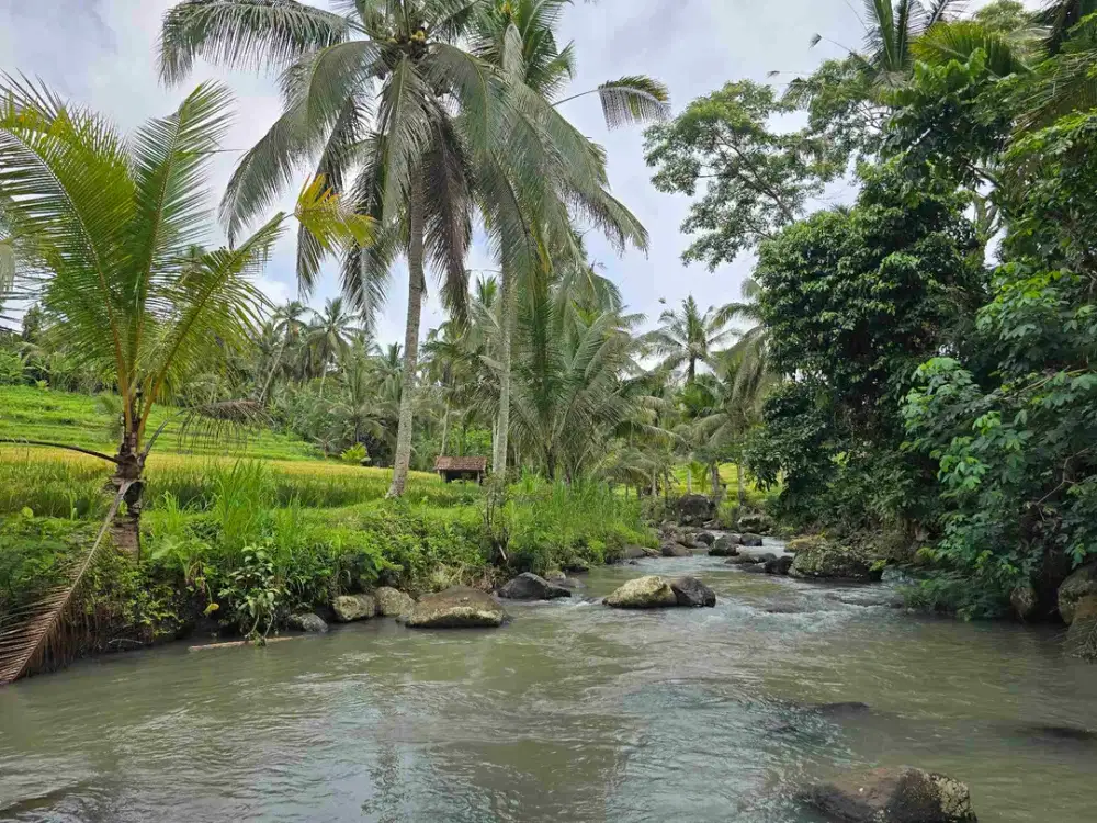 Dijual home stay 80 % jadi view sawah dan los sungai di tabanan bali