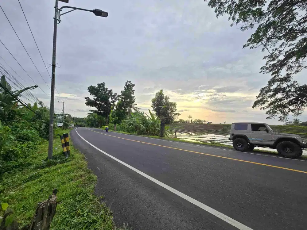 Dijual tanah akses jalan utama propinsi view sawah di tabanan bali