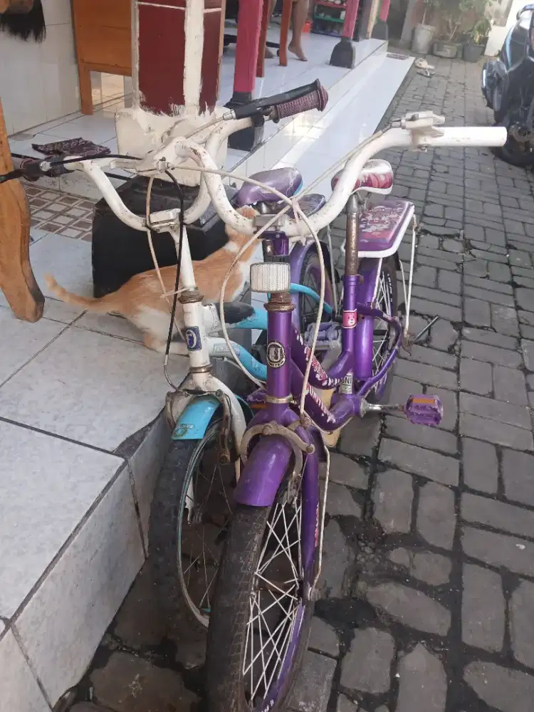 Dijual sepeda anak 2 pcs, Wim Cycle
