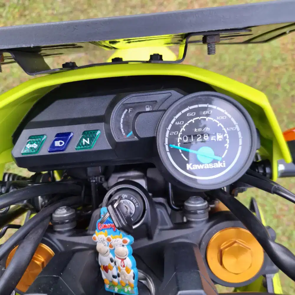 Kawasaki D-Tracker 150 (km 1285)