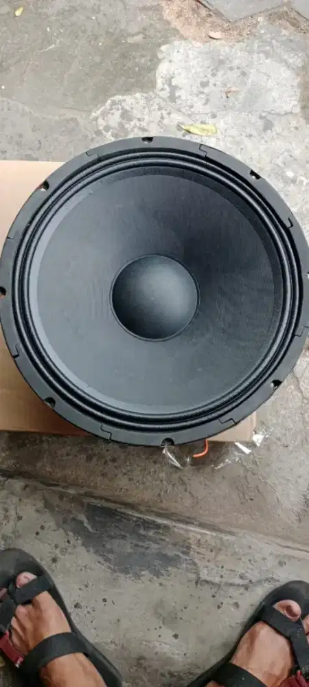 Speaker 15 inch