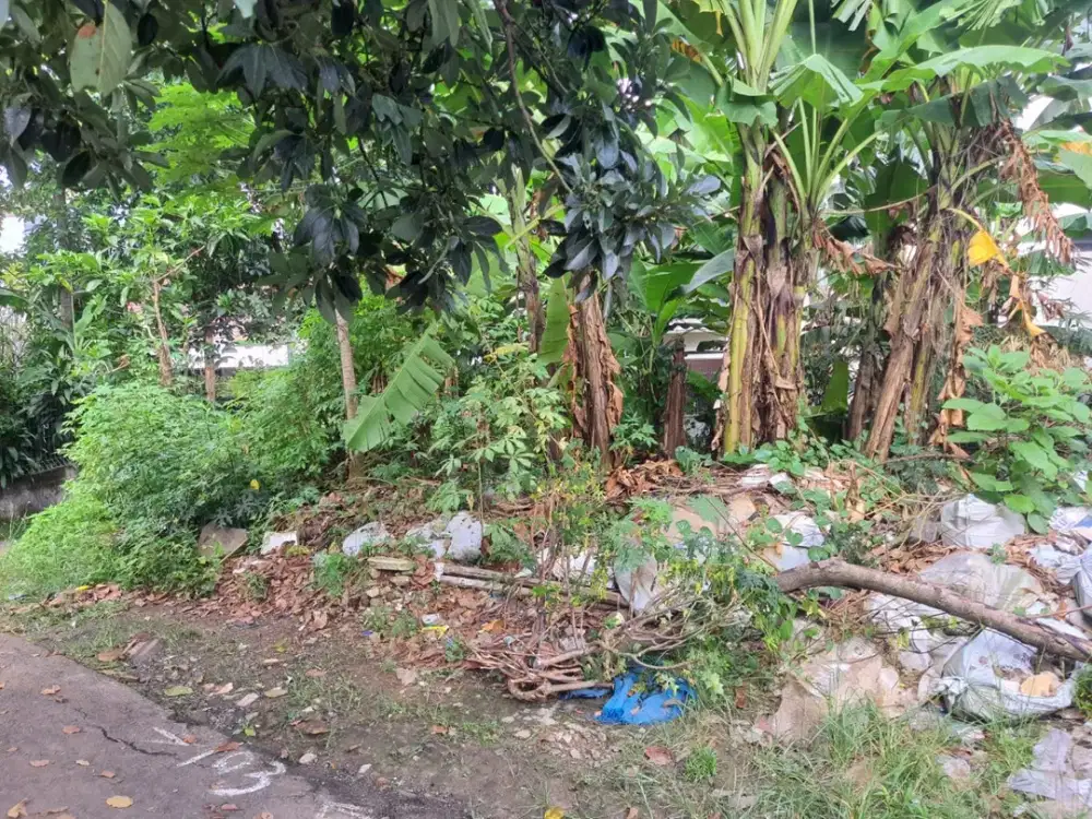 TANAH DIJUAL MURAH – Jagakarsa, Jakarta Selatan