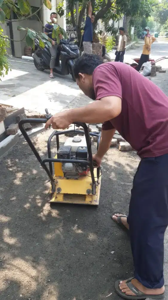 Sewaa stamper kuda dan kodok