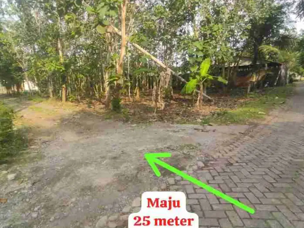 JUAL TANAH DI SALAMREJO SENTOLO KULONPROGO