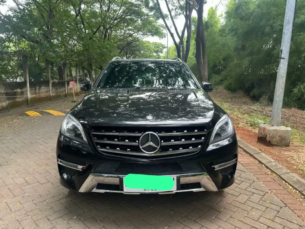 ML 250 cfi Diesel Tahun 2013