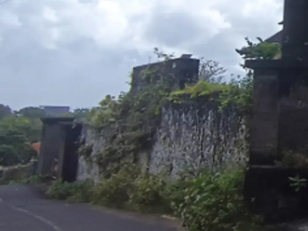 DIJUAL 2 BIDANG TANAH DENGAN TOTAL LUAS 2.000 M2 - BADUNG