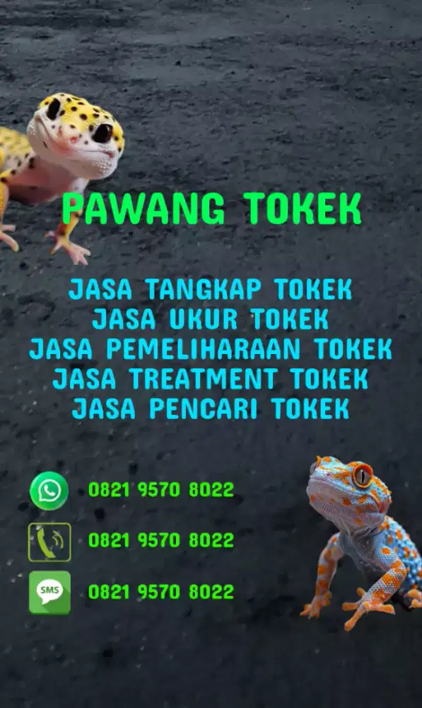 Pawang Tokek Rumah