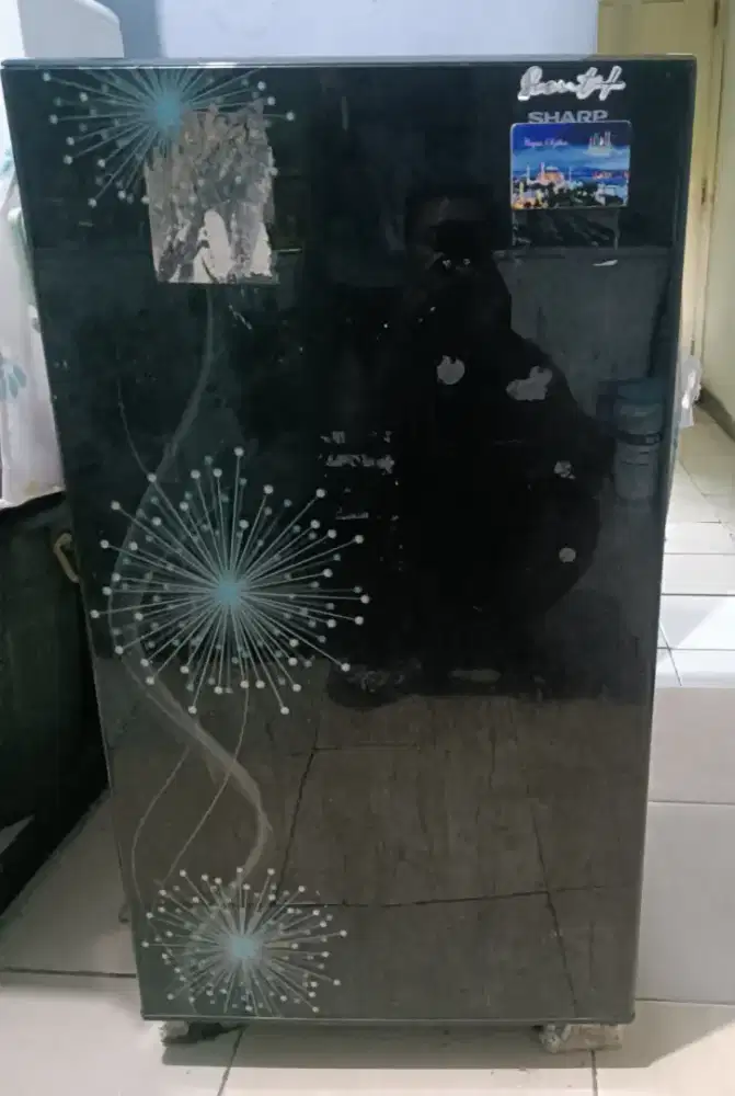 Kulkas sharp 1 puntu