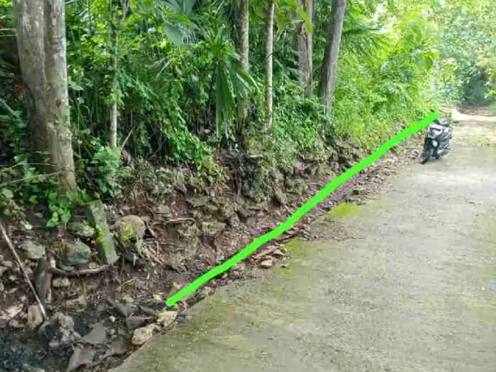 JUAL TANAH DI TUKSONO SENTOLO KULONPROGO