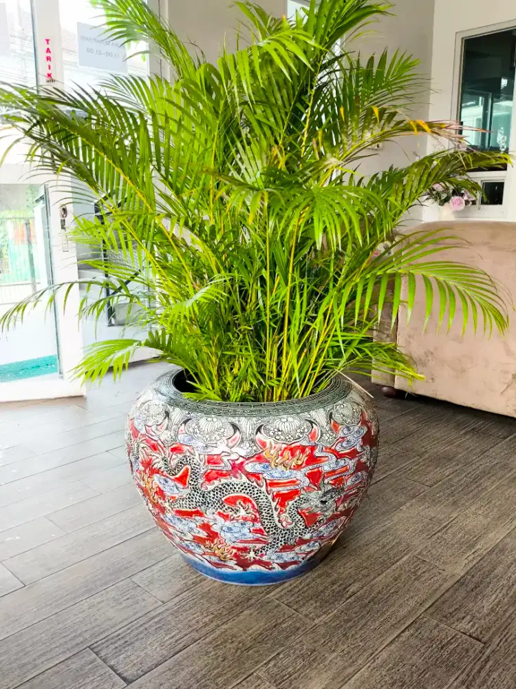 Guci China Antik 90 tahun, Guci China Hijau dan Peti Antik