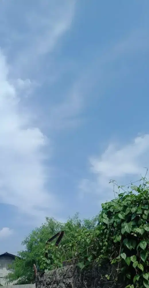 info kan lowongan pekerjaan pak bu