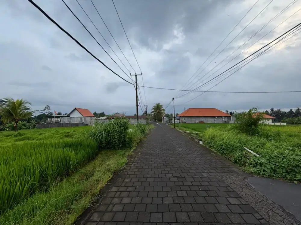 Tanah super premium dkt central ubud