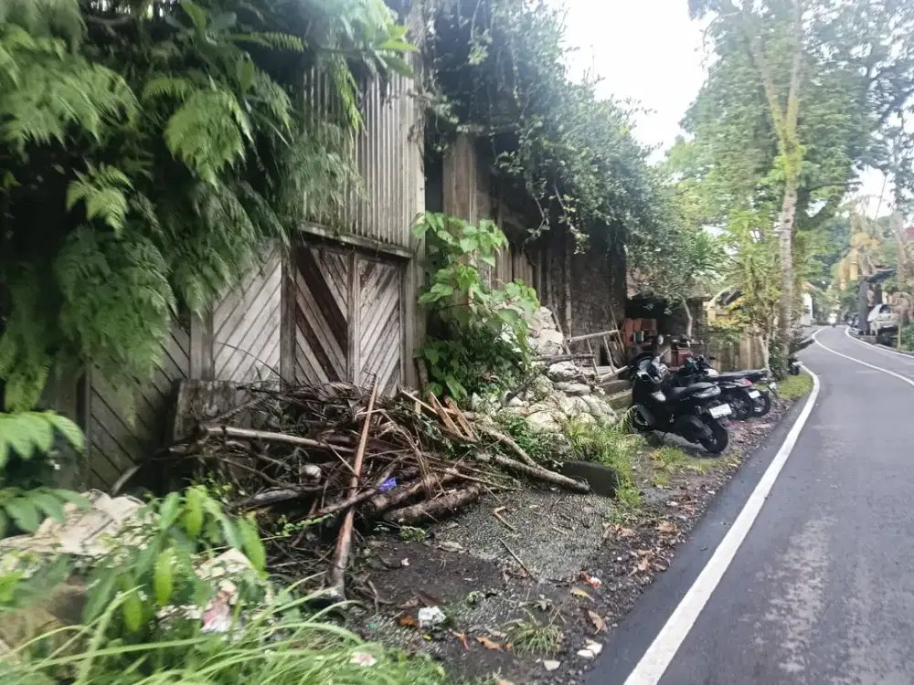Tanah langka di pinggir jalan central ubud los sungai