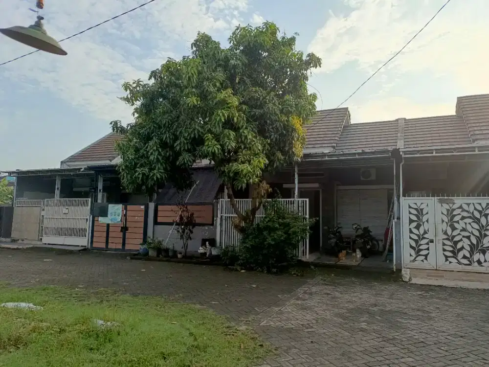 Jual Rumah Sidoarjo Kota, Rumah Sidoarjo, Rumah Kota Sidoarjo,