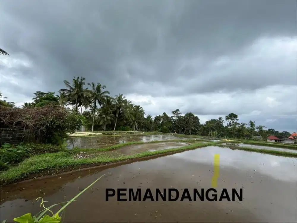 Tanah super premium di ubud bali full view sawah jungle sunga