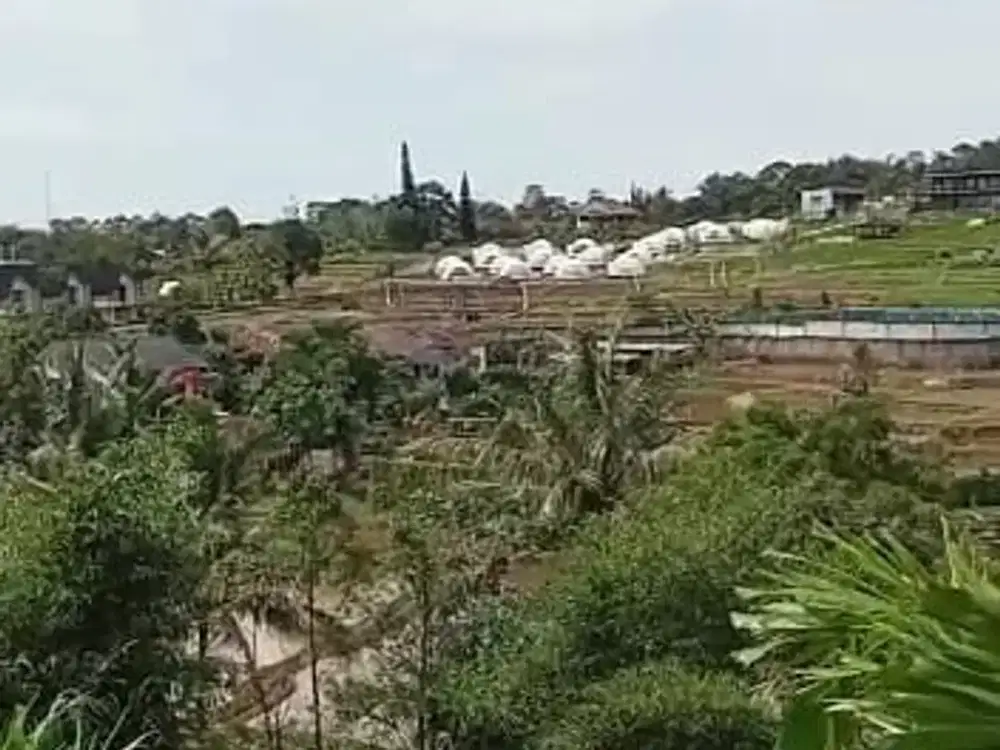 Tanah Luas Ada Mata Air Di Jl Alternatif Cigombong Kab Bogor