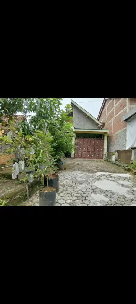 SIAPA CEPAT DIA DAPAT