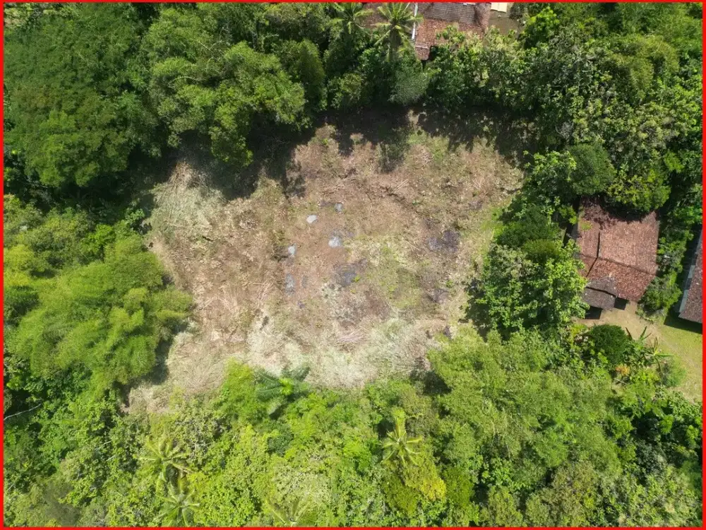 Jual Tanah Yogyakarta Moyudan Dekat Museum HM Soeharto, Untuk Rumah