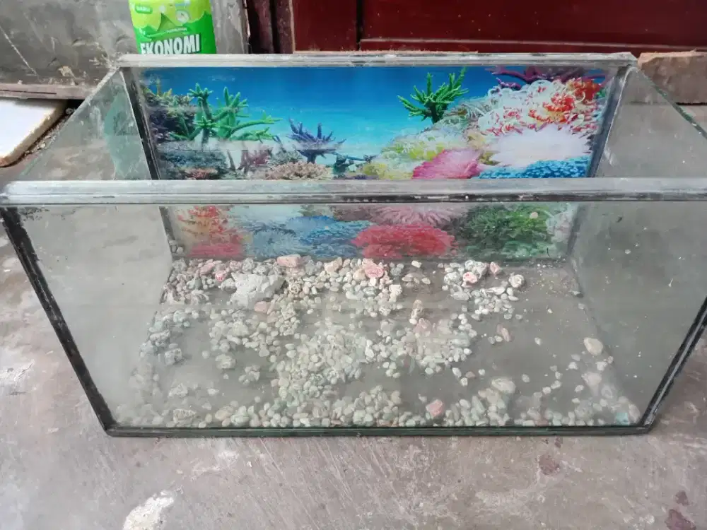 Aquarium kaca tebal