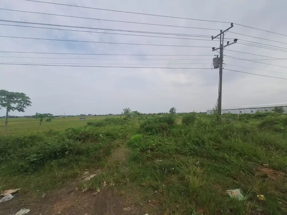 Dijual Tanah dengan Lebar Muka 125 Meter di Zona Industri Pemalang