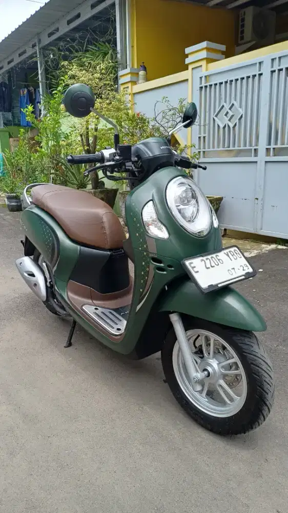 Scoopy preastige 2024