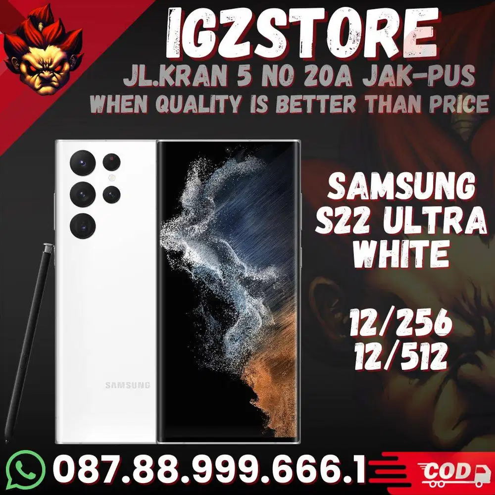 Samsung S22 Ultra 12/256 SEIN White FULLSET Mulus NO Minus