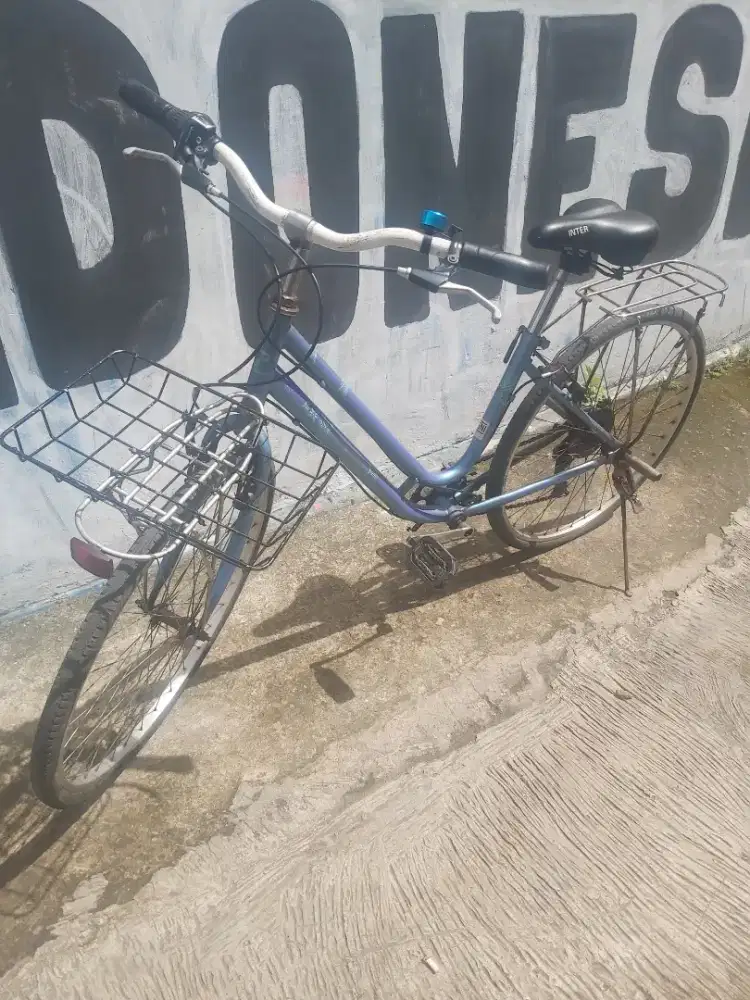 Speda Minion 26 modif commuter