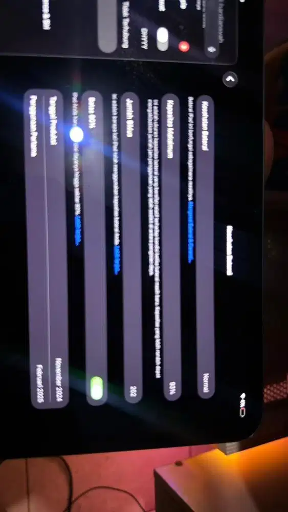 Ipad pro m4 256 gb baru