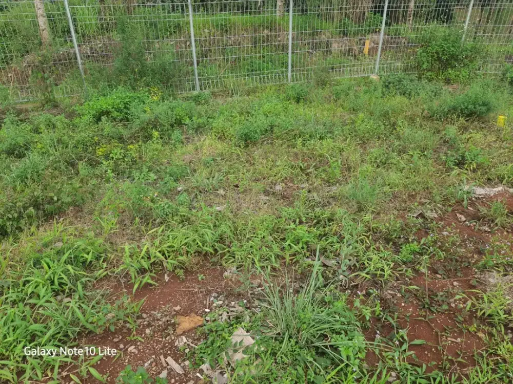 Dijual Kavling Siap Bangun Nyaman dan Asri Lokasi di Kota Baru Parahyangan Tatar Tarubhawana Bandung