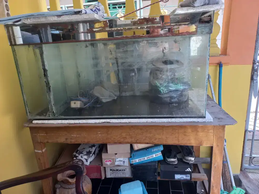 Aquarium ikan surabaya