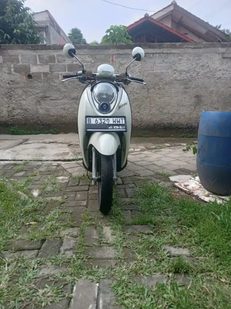 HONDA Scoopy 2011