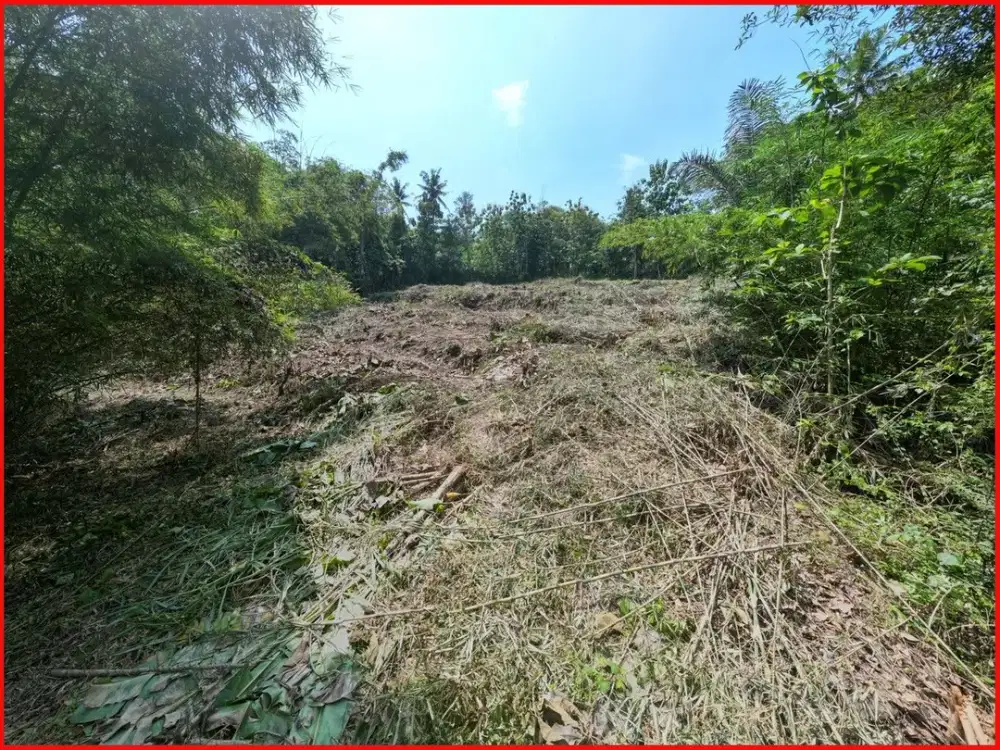 Tanah Yogyakarta Dijual Moyudan Sleman Dekat Pasar Ngijon, Untuk Rumah