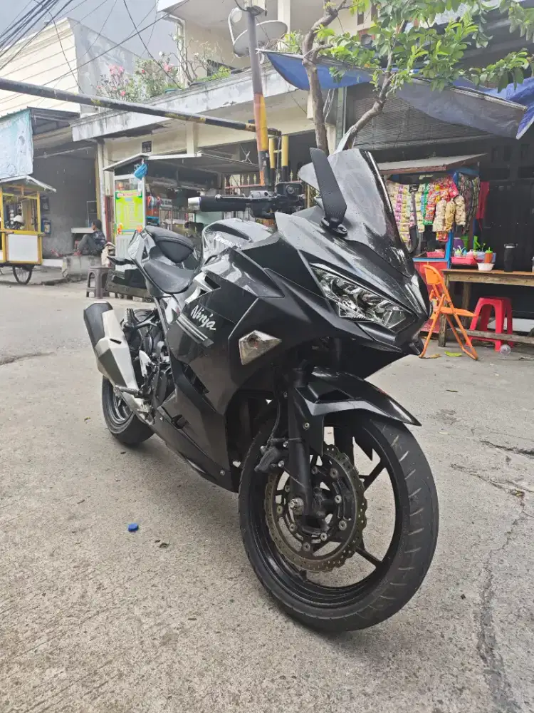Kawasaki Ninja 250 2022