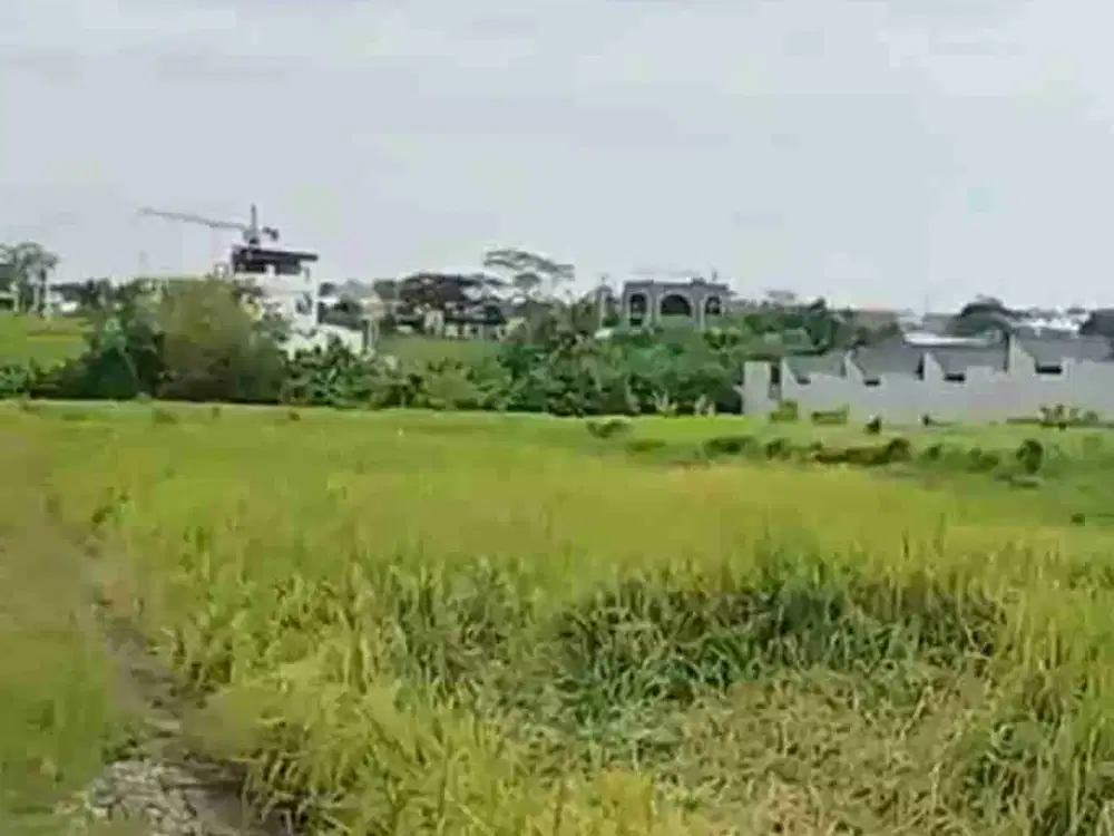 Lahan seseh sewa 6 are zona pink lingkungan villa strategis dekat ke Pantai